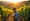 What Is Vineyard Software? Key Features and Benefits for Wineries
