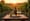 Discover the Best Napa Valley Wine Clubs for Your Winery's Growth