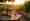 10 Key Insights for Global Wine Operations Success