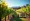 Understanding Current Wine Trends: Insights for Wineries in 2025