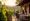 9 Essential DTC Sales Analytics Software Tools for Wineries