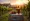 Understanding the State of the Wine Industry 2023: Key Strategies for Growth