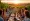 10 Key Insights from the DTC Symposium 2024 for Wineries