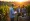 What Winery Growth Consultants Do: Benefits for Family-Owned Wineries