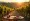 Master Visual Storytelling for Wineries: Engage and Connect Effectively