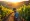 What Is Vineyard Software? Key Features and Benefits for Wineries