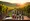 Enhance Your Winery's Brand with Wine Label Storytelling Consulting