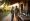 Digital Marketing for Wineries: 4 Proven Strategies for Growth