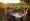 Wine Storytelling Experts: Best Practices for Engaging Consumers