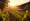 Understanding Winery Systems: Definition, Types, and Impact
